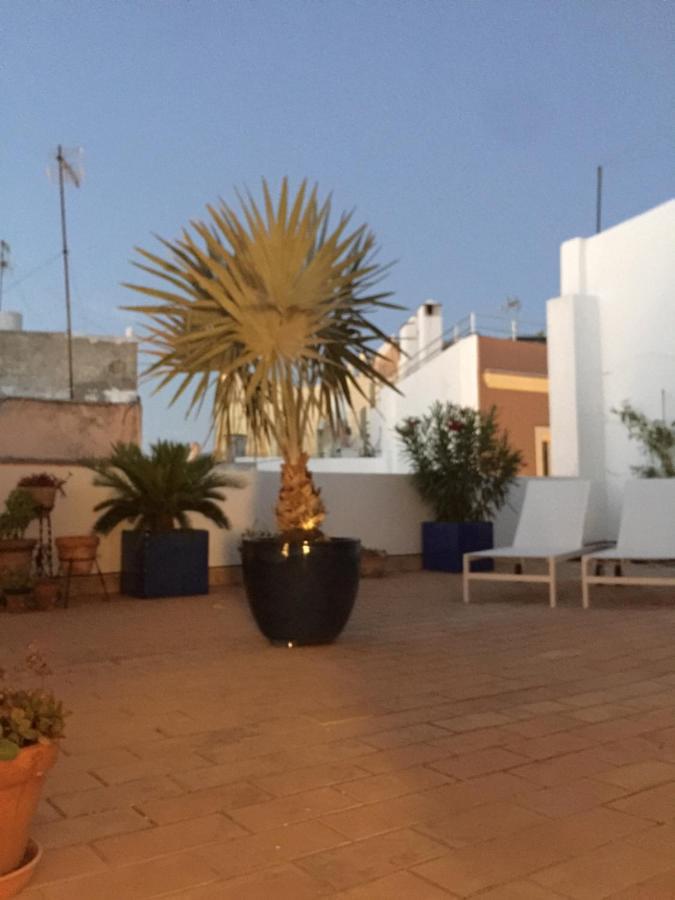 La Terraza De San Pedro Apartamento