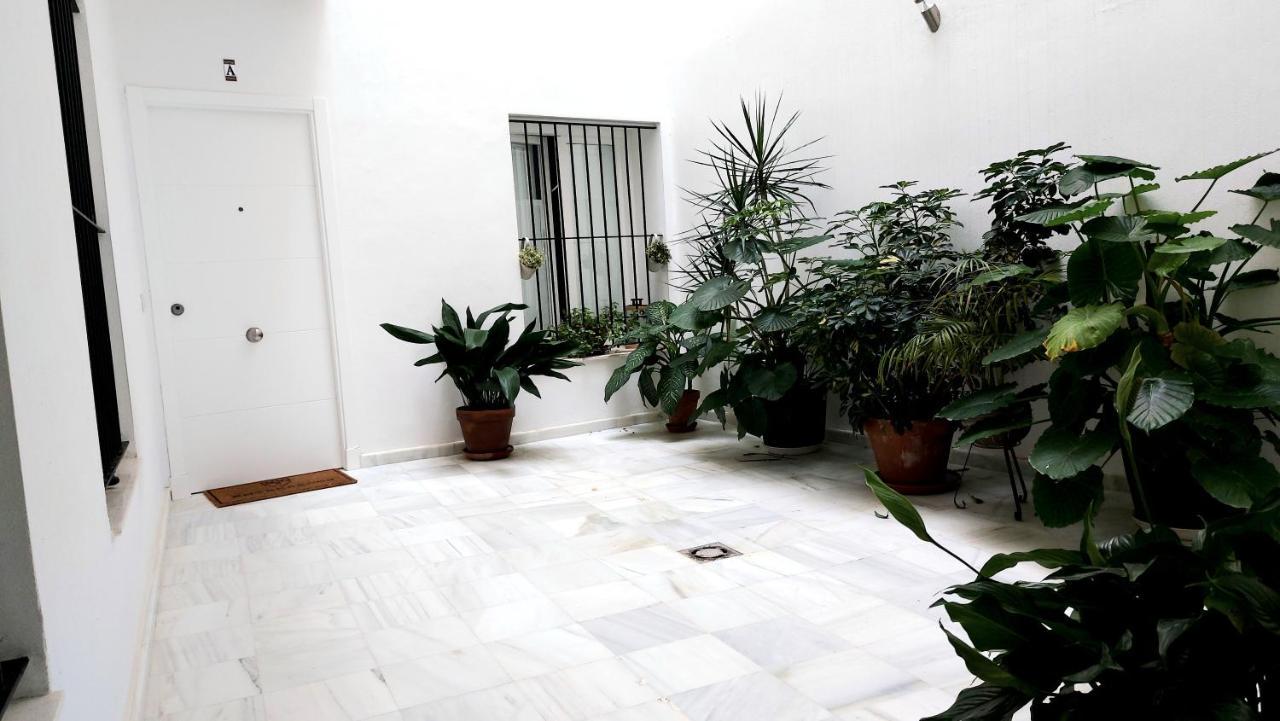 Entrearcos Apartamento Cádiz