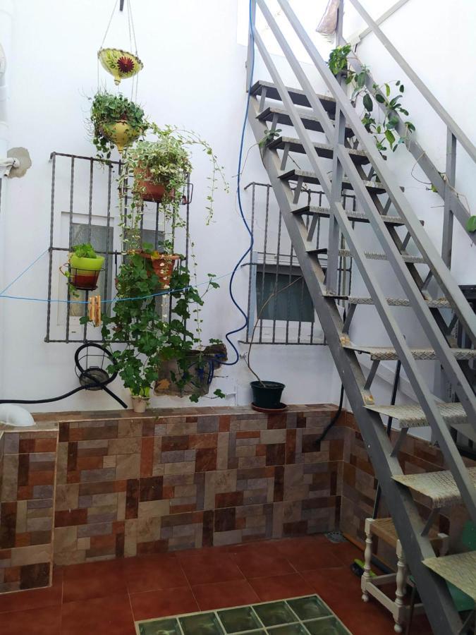 Yedra Apartamento Cádiz