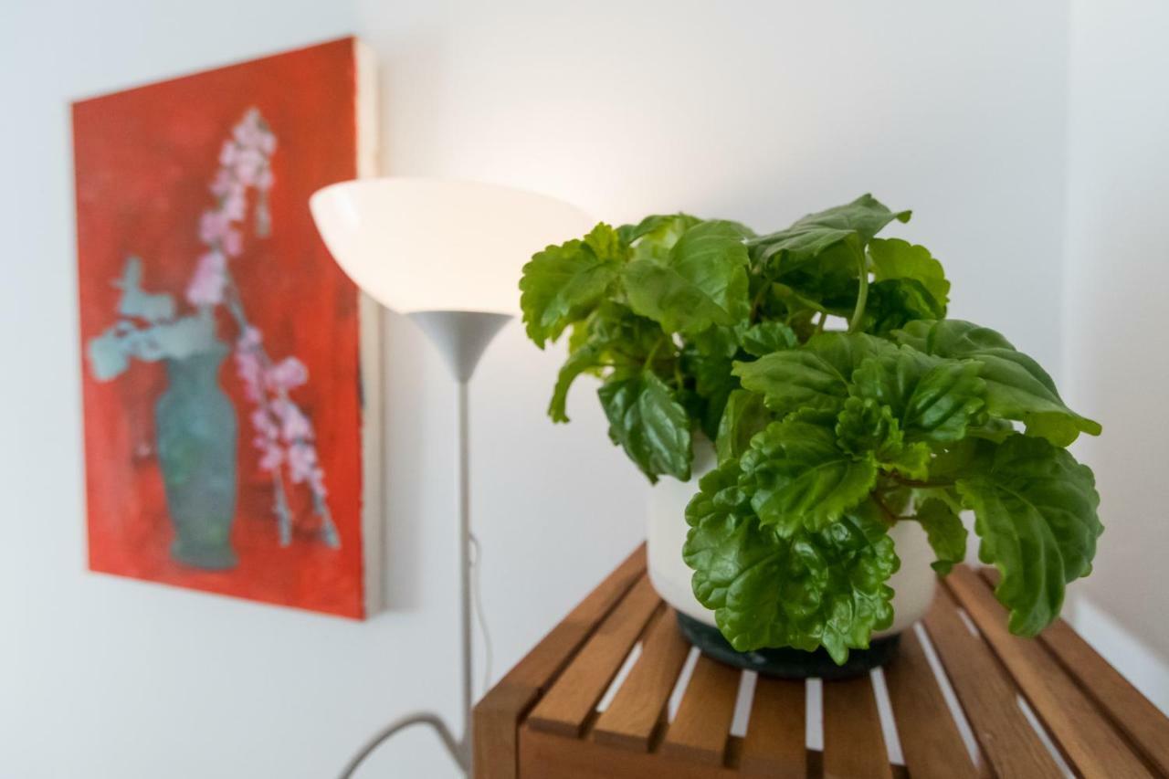 Apartamento La Galeria De San Antonio *