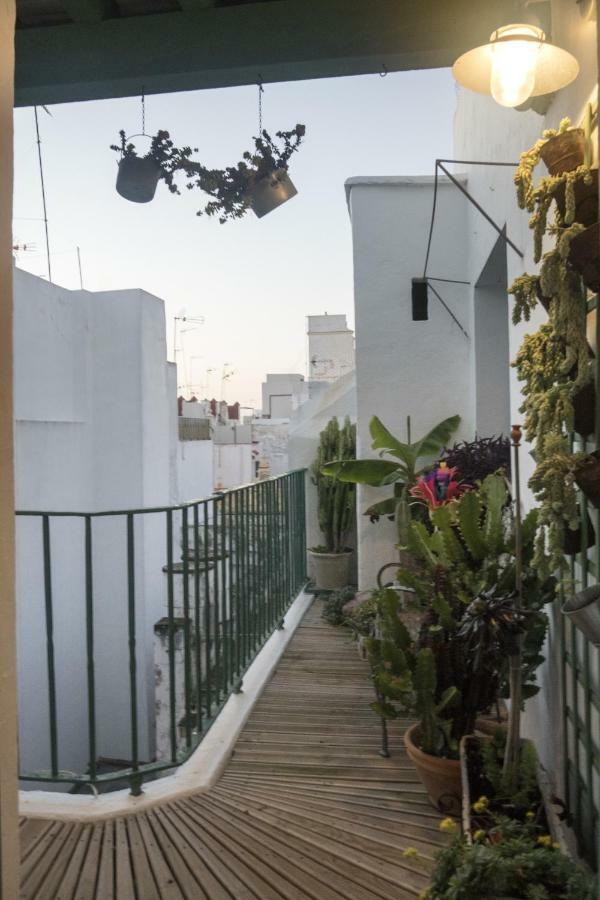 Amazing Penthouse Cádiz