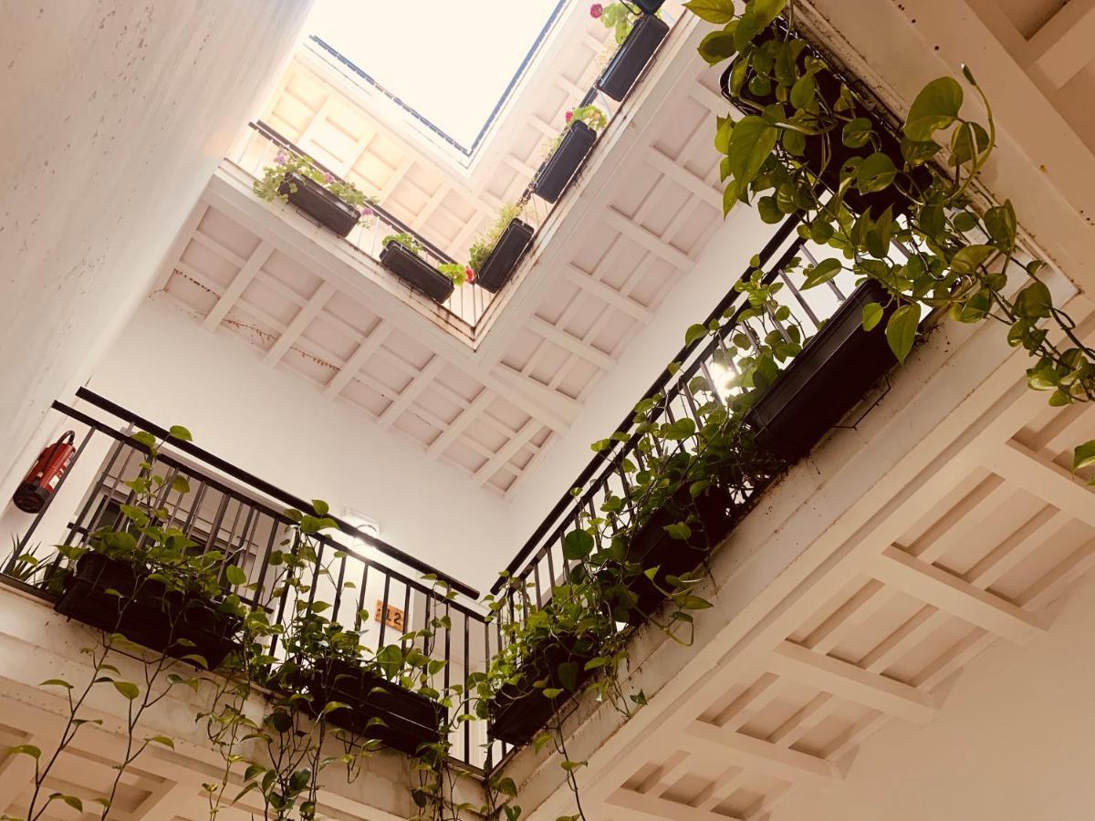 La Casa Morada Cadiz