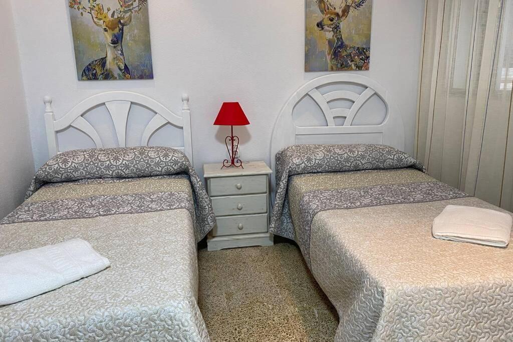 The Traveller`s House Mirador Playa La Caleta En *