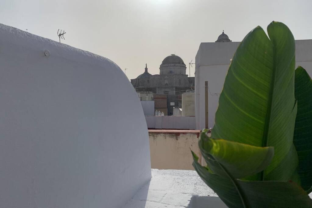 Apartment Hidden Gem Penthouse Populo Y Catedral *
