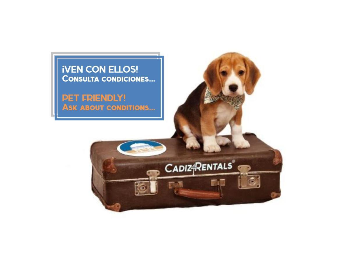 Cruise Adapted By Cadiz4rentals Apartment *