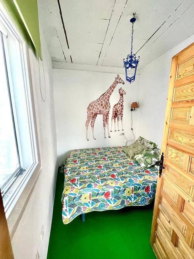 La Casa Del ático Gorila Cádiz