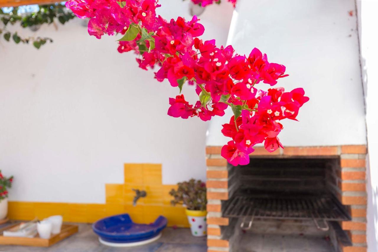 La Ballena Azul Conil Holiday home