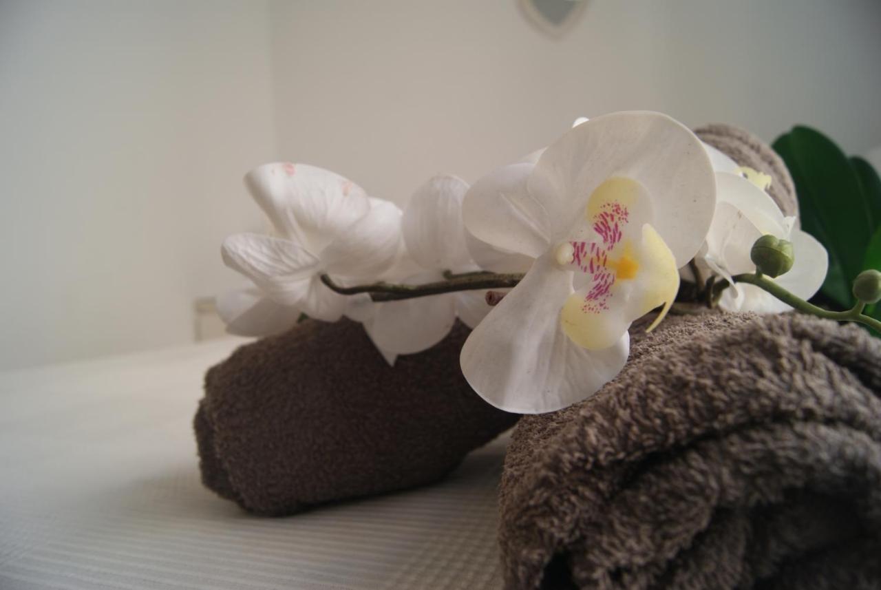 Apartment Cdz - Carmen Coronada *