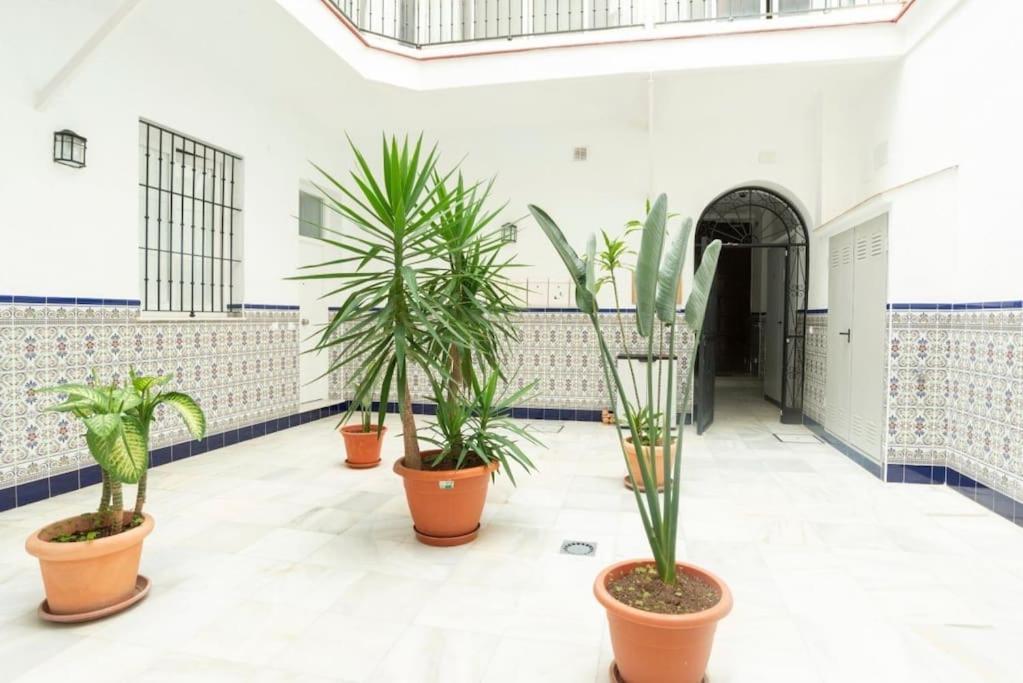 Apartamento De La Vina Zen House Cádiz