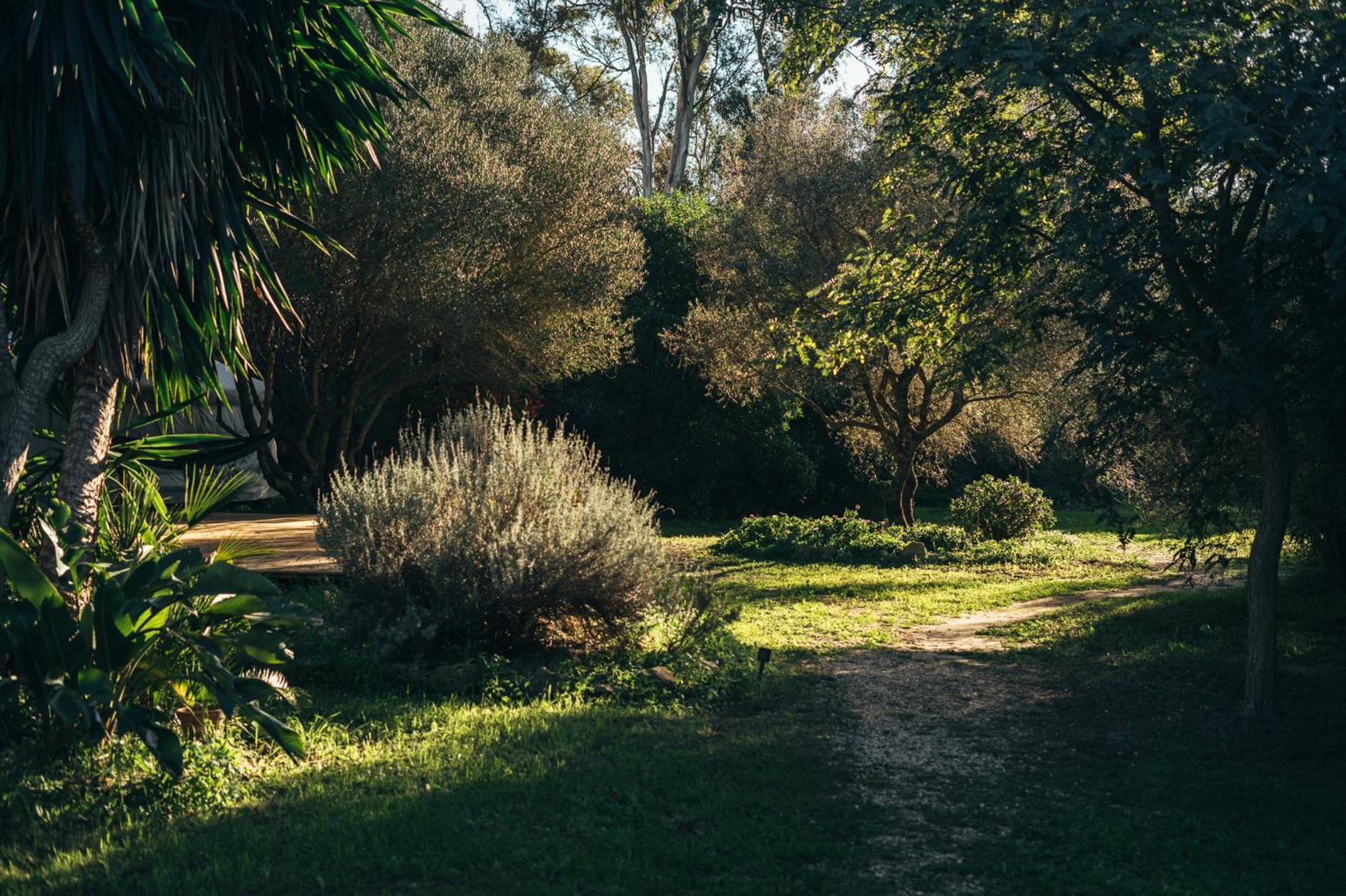 Campo de lujo La Veleta