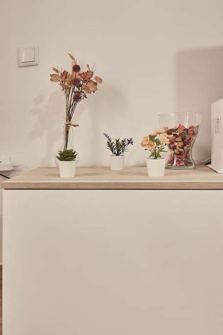 Apartamento El Paraiso De La Vina Ha Cádiz