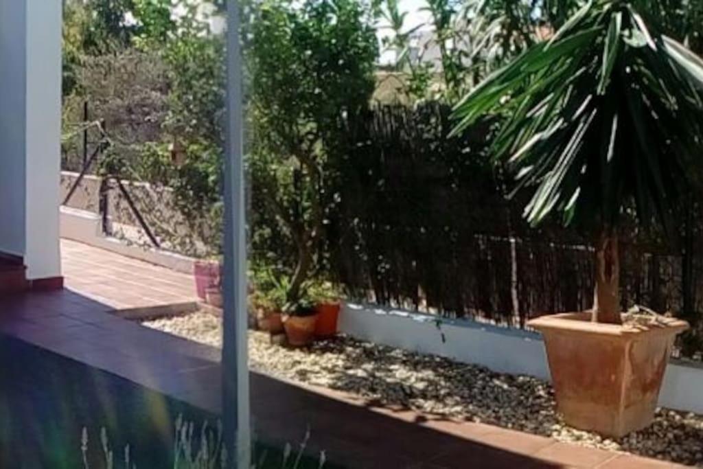 Apartamento Casa Completa Conil Con Piscina
