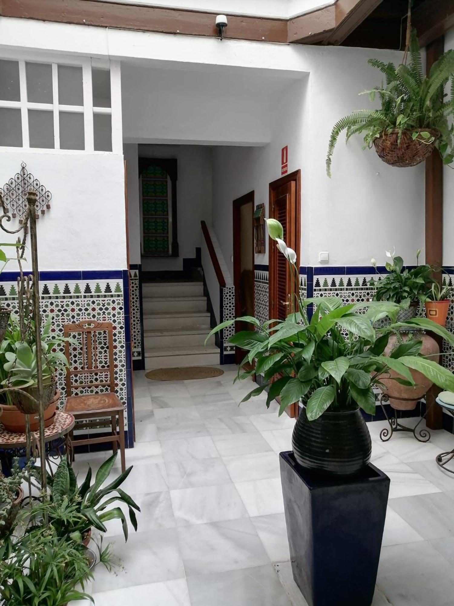 Centro * Cádiz