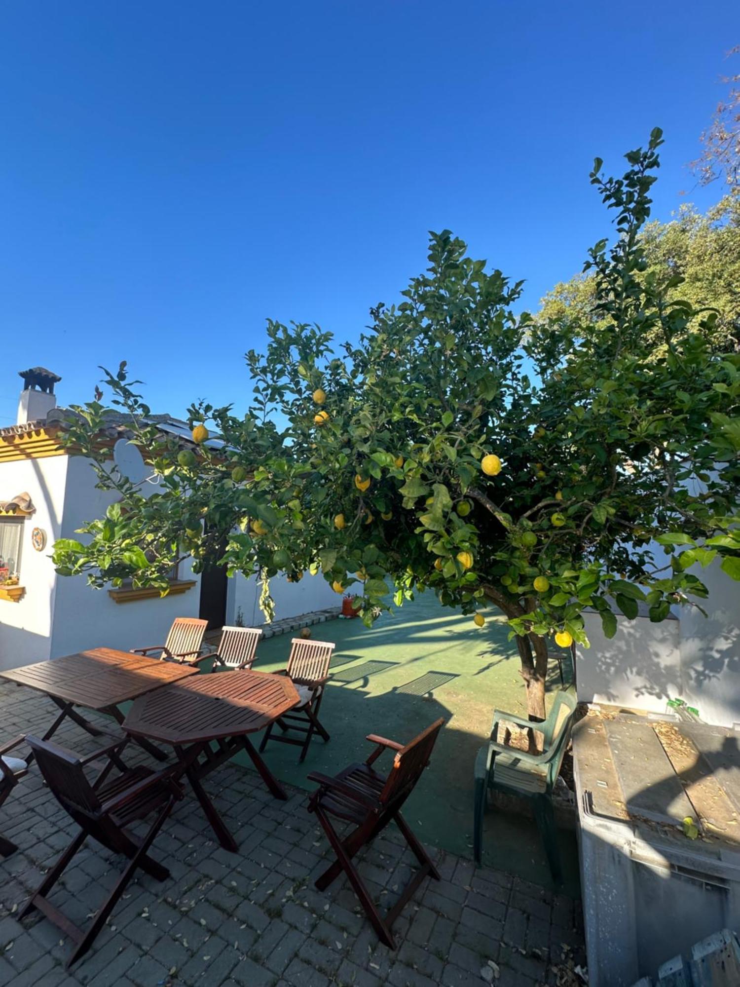 Paraiso De La Luz 7 Bedrooms, Swimming Pool & 4 Bathrooms Villa