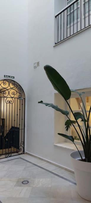 Apartamento El 2 De Flamenco Bajoa Cádiz
