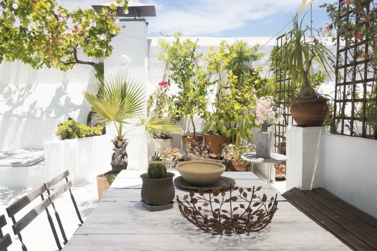 Amazing Penthouse Cadiz