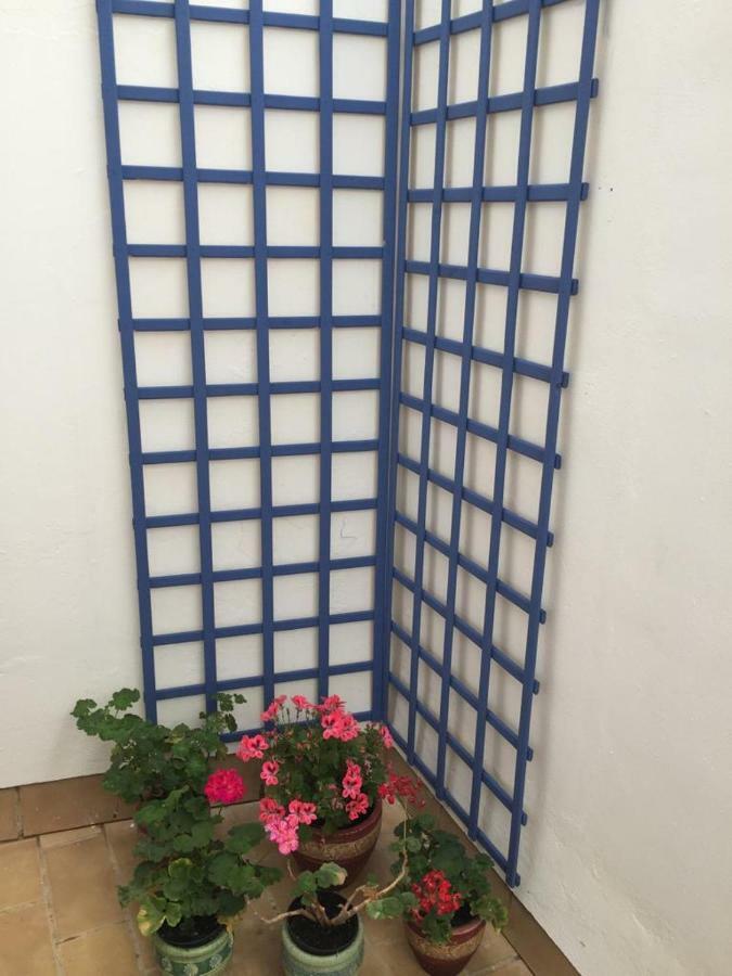 Apartment Balneario Playa Caleta