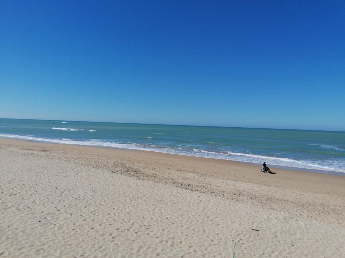Al Sur Cádiz