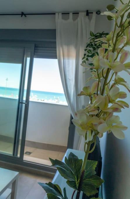 Apartment El Beduino By Gades Gestion Cadiz